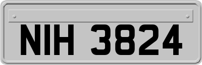 NIH3824