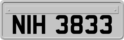 NIH3833