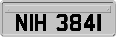 NIH3841