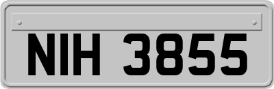NIH3855