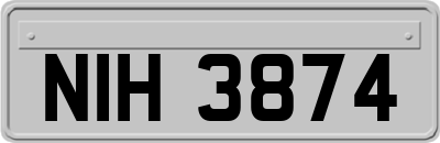 NIH3874