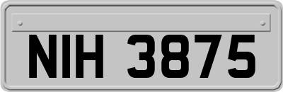NIH3875