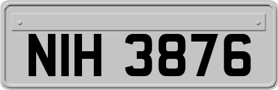 NIH3876