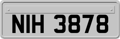 NIH3878