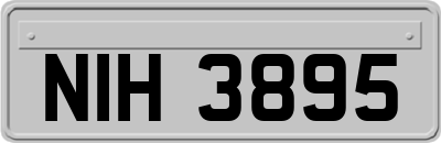 NIH3895