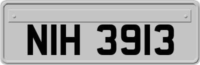 NIH3913