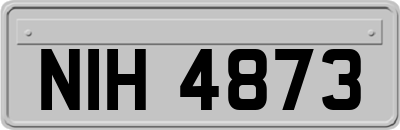 NIH4873