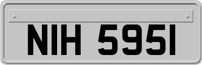 NIH5951