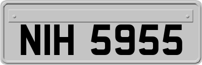 NIH5955