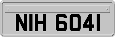 NIH6041