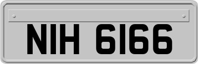 NIH6166