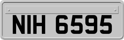 NIH6595