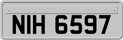 NIH6597