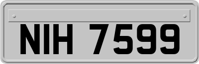 NIH7599
