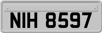NIH8597