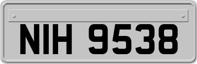 NIH9538