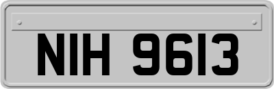 NIH9613