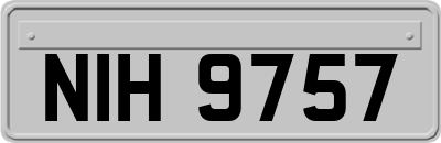 NIH9757