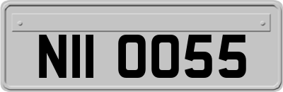 NII0055