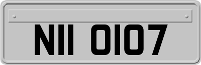 NII0107
