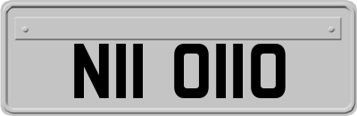 NII0110