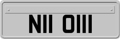 NII0111