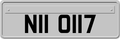 NII0117