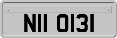 NII0131