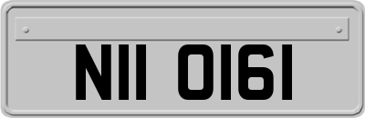 NII0161