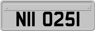 NII0251