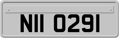 NII0291