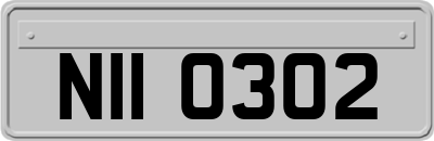 NII0302
