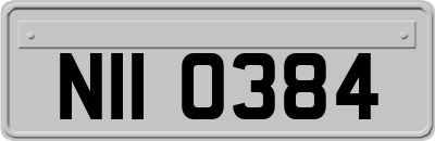 NII0384