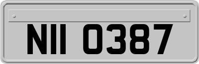 NII0387