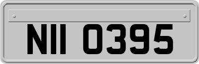 NII0395