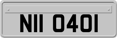 NII0401