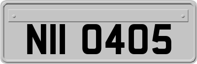 NII0405