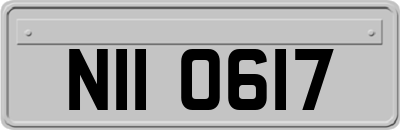NII0617