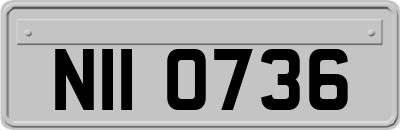 NII0736