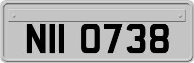 NII0738