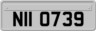 NII0739