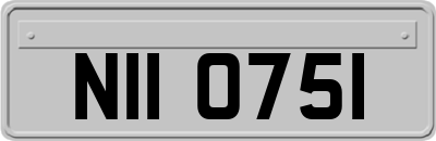 NII0751
