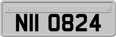 NII0824