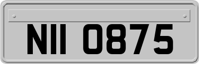 NII0875