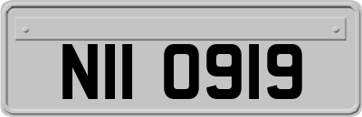 NII0919