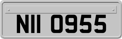 NII0955