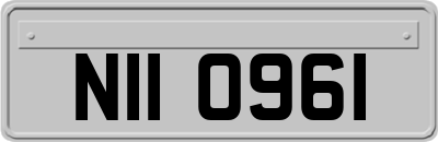 NII0961