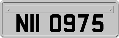 NII0975