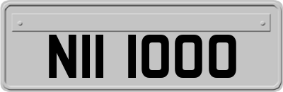 NII1000