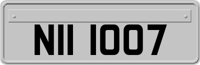 NII1007